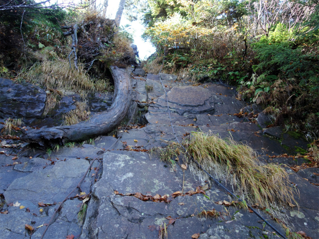 武尊山(武尊神社~剣ヶ峰山周回)登山口コースガイド 補助ロープ【登山口ナビ】
