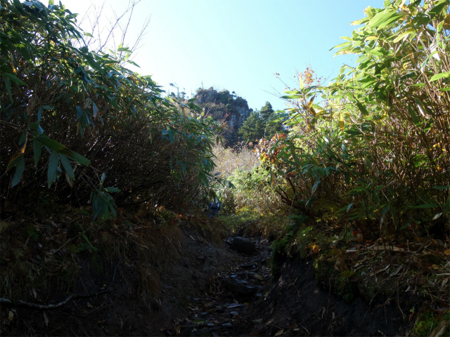 武尊山(武尊神社~剣ヶ峰山周回)登山口コースガイド 小ピーク【登山口ナビ】
