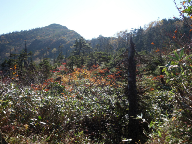 武尊山(武尊神社~剣ヶ峰山周回)登山口コースガイド 小ピーク【登山口ナビ】