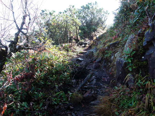 武尊山(武尊神社~剣ヶ峰山周回)登山口コースガイド 小ピークのトラバース【登山口ナビ】