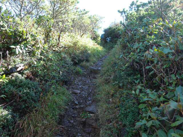 武尊山(武尊神社~剣ヶ峰山周回)登山口コースガイド 山頂直下【登山口ナビ】