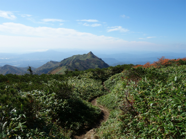 武尊山(武尊神社~剣ヶ峰山周回)登山口コースガイド 笹の緩斜面【登山口ナビ】