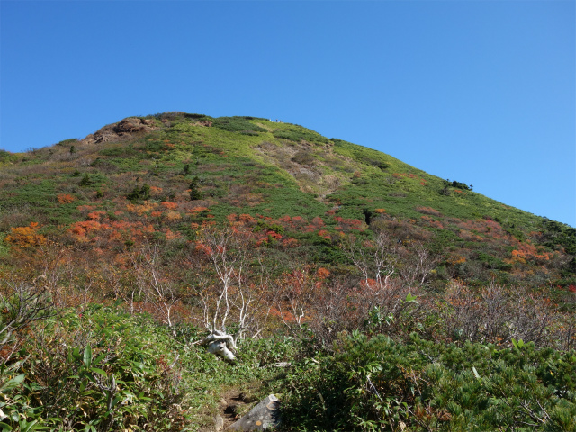 武尊山(武尊神社~剣ヶ峰山周回)登山口コースガイド 緩斜面からの武尊山【登山口ナビ】