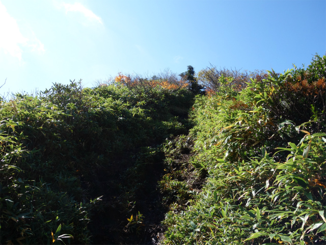 武尊山(武尊神社~剣ヶ峰山周回)登山口コースガイド アップダウン【登山口ナビ】