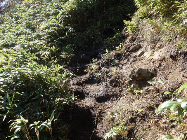 武尊山(武尊神社~剣ヶ峰山周回)登山口コースガイド 補助ロープ【登山口ナビ】