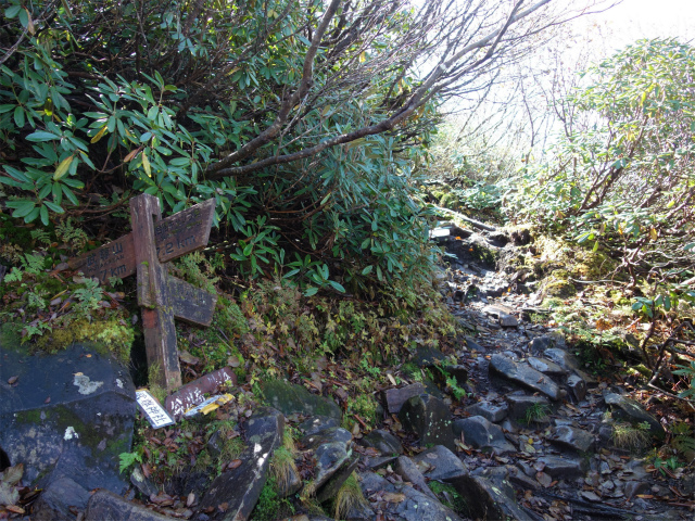 武尊山(武尊神社~剣ヶ峰山周回)登山口コースガイド 高手新道分岐【登山口ナビ】
