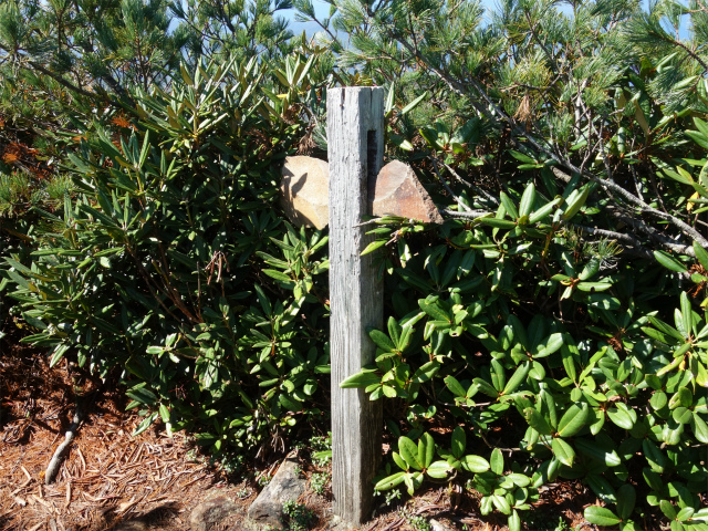 武尊山(武尊神社~剣ヶ峰山周回)登山口コースガイド 剣ヶ峰山山頂標【登山口ナビ】