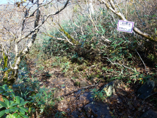 武尊山(武尊神社~剣ヶ峰山周回)登山口コースガイド【登山口ナビ】