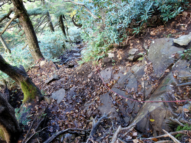 武尊山(武尊神社~剣ヶ峰山周回)登山口コースガイド 補助ロープ【登山口ナビ】