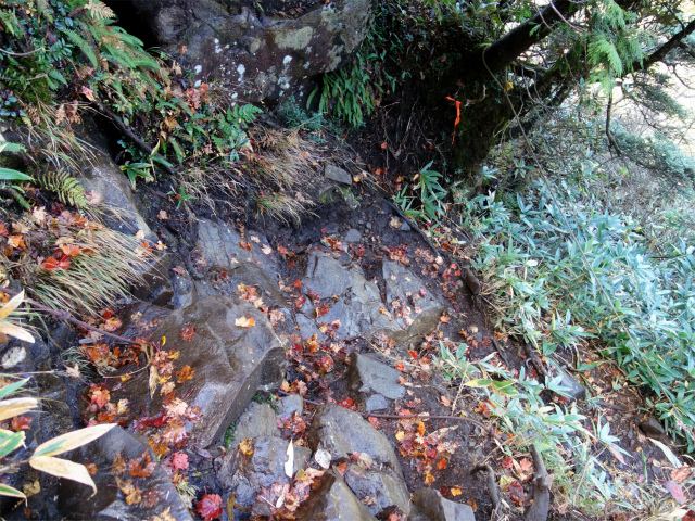 武尊山(武尊神社~剣ヶ峰山周回)登山口コースガイド 露岩【登山口ナビ】