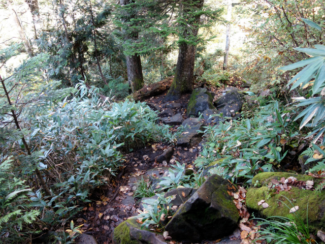 武尊山(武尊神社~剣ヶ峰山周回)登山口コースガイド 急斜面【登山口ナビ】