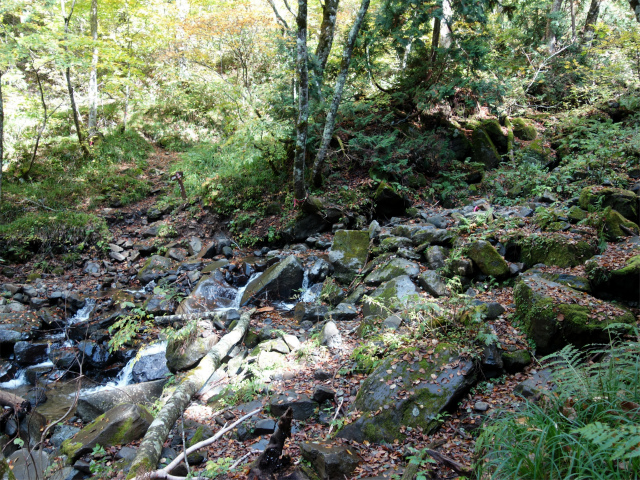 武尊山(武尊神社~剣ヶ峰山周回)登山口コースガイド 武尊沢の渡渉【登山口ナビ】