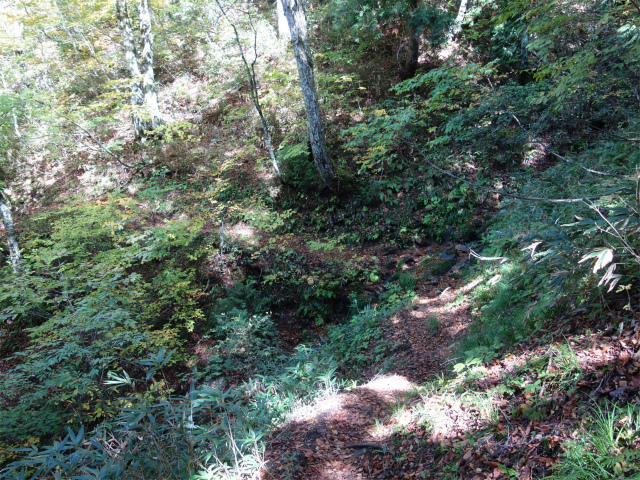 武尊山(武尊神社~剣ヶ峰山周回)登山口コースガイド トラバース【登山口ナビ】