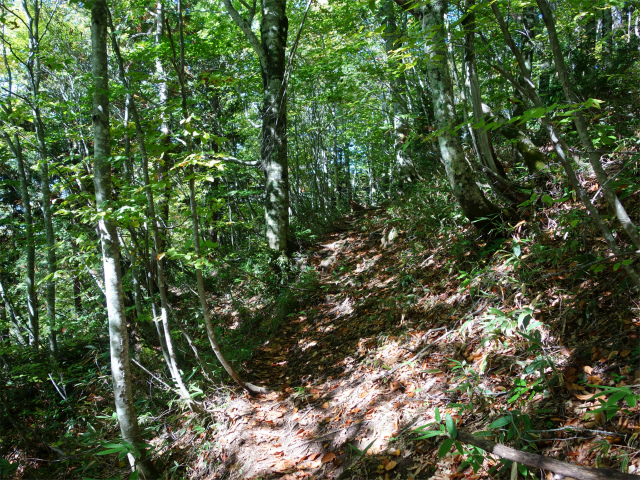 武尊山(武尊神社~剣ヶ峰山周回)登山口コースガイド トラバース【登山口ナビ】