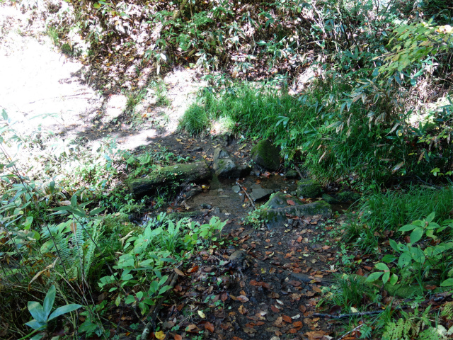 武尊山(武尊神社~剣ヶ峰山周回)登山口コースガイド 小沢【登山口ナビ】