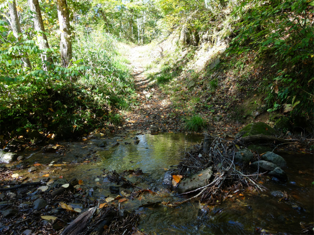 武尊山(武尊神社~剣ヶ峰山周回)登山口コースガイド 武尊沢林道終点【登山口ナビ】