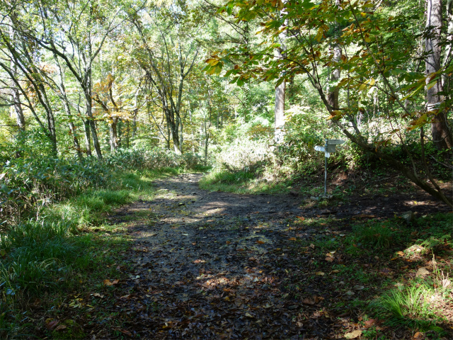 武尊山(武尊神社~剣ヶ峰山周回)登山口コースガイド 手小屋沢関門分岐【登山口ナビ】