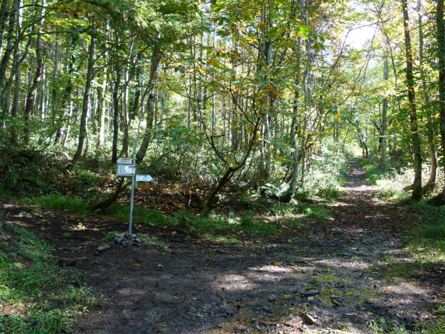 武尊山(武尊神社~剣ヶ峰山周回)登山口コースガイド 手小屋沢関門分岐【登山口ナビ】