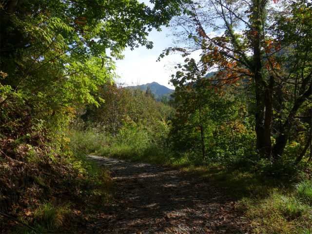 武尊山(武尊神社~剣ヶ峰山周回)登山口コースガイド 武尊沢林道【登山口ナビ】