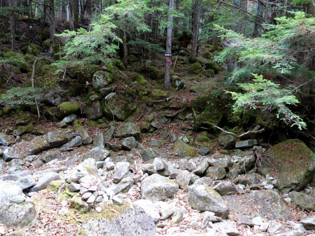 金峰山(御嶽古道/表参道)登山口コースガイド アコウ平分岐【登山口ナビ】