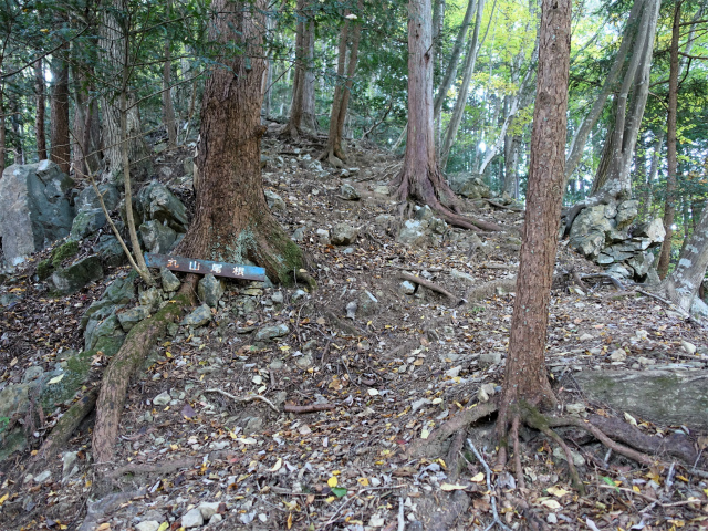 三頭山(ムロクボ尾根)登山口コースガイド 丸山尾根指導標【登山口ナビ】