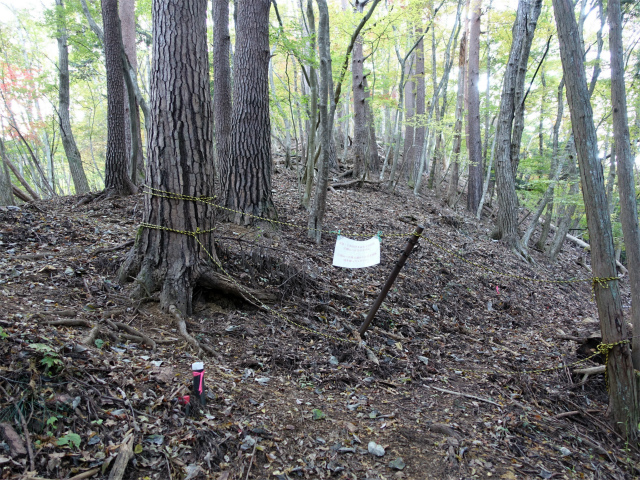 三頭山(ムロクボ尾根)登山口コースガイド トラバース分岐【登山口ナビ】