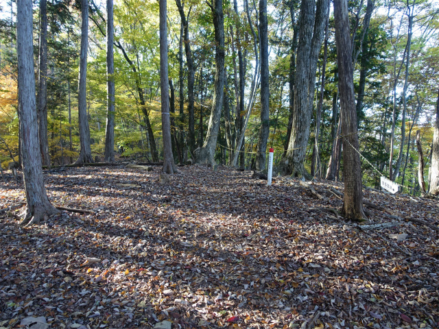 三頭山(ムロクボ尾根)登山口コースガイド ロープの張られた緩斜面【登山口ナビ】