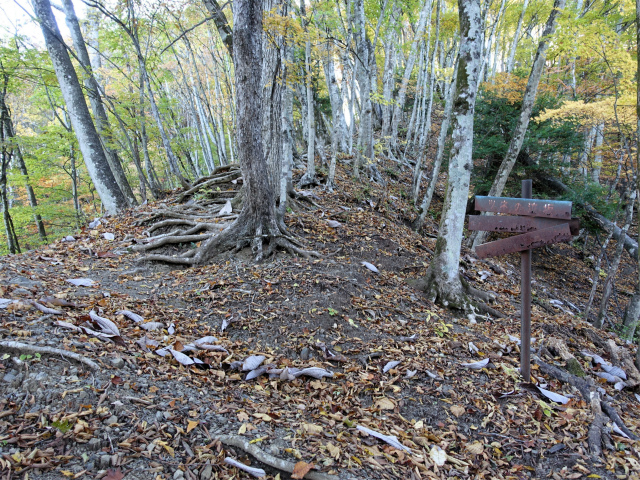 三頭山(ムロクボ尾根)登山口コースガイド ツネの泣坂【登山口ナビ】