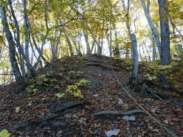 三頭山(ムロクボ尾根)登山口コースガイド ツネの泣坂の補助ロープ【登山口ナビ】