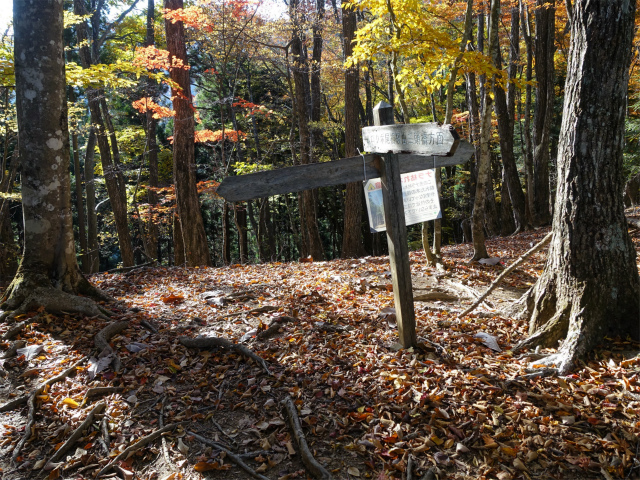 三頭山(ムロクボ尾根)登山口コースガイド ヌカザス尾根合流【登山口ナビ】
