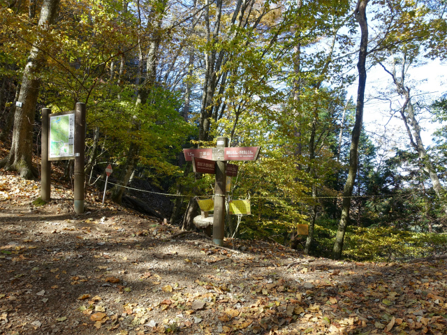 三頭山（風張尾根～鞘口峠）登山口コースガイド 鞘口峠【登山口ナビ】