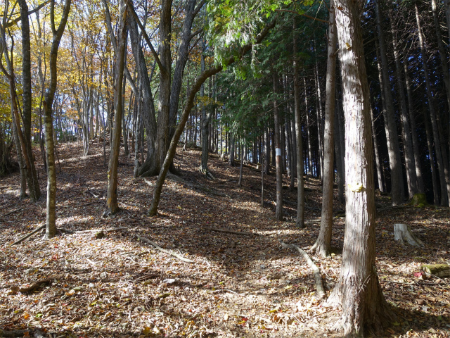 三頭山（風張尾根～鞘口峠）登山口コースガイド アップダウン【登山口ナビ】