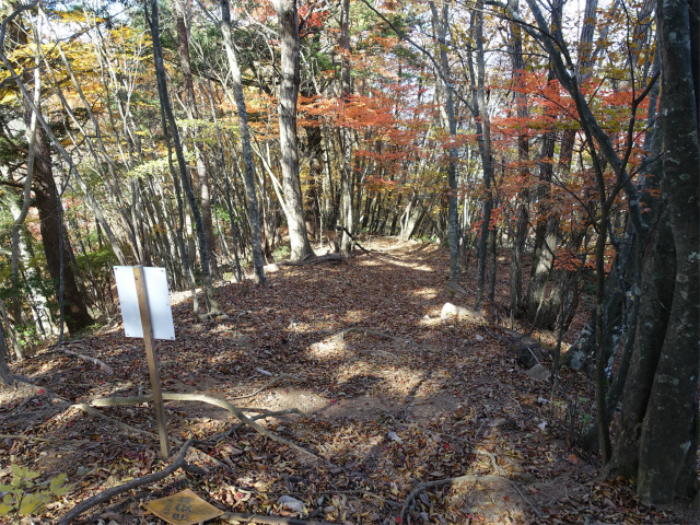 三頭山（風張尾根～鞘口峠）登山口コースガイド 里山の路分岐【登山口ナビ】