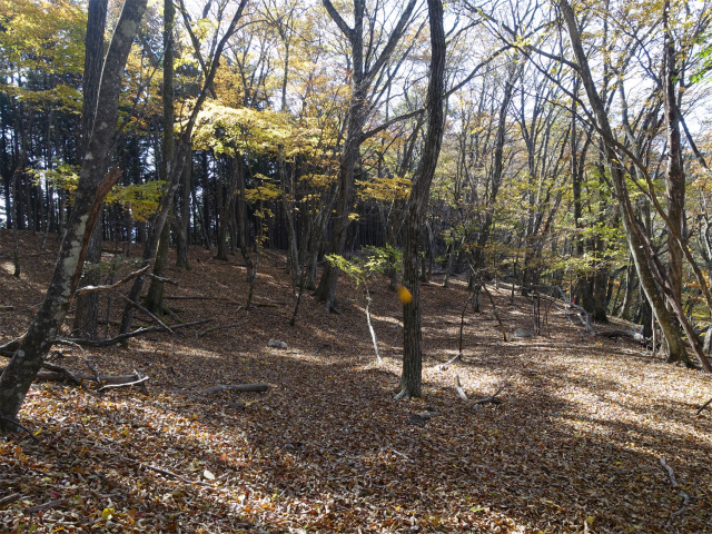 三頭山（風張尾根～鞘口峠）登山口コースガイド 浅間尾根分岐【登山口ナビ】