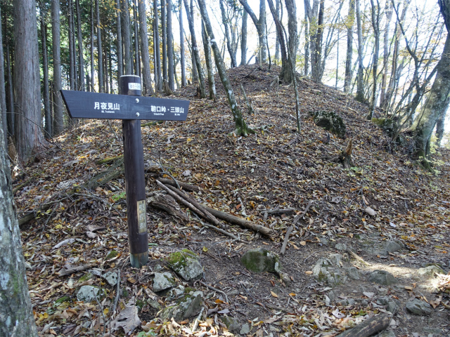 三頭山（風張尾根～鞘口峠）登山口コースガイド 1249mピーク【登山口ナビ】