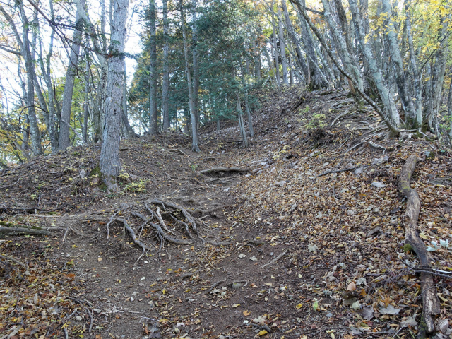 三頭山（風張尾根～鞘口峠）登山口コースガイド 【登山口ナビ】