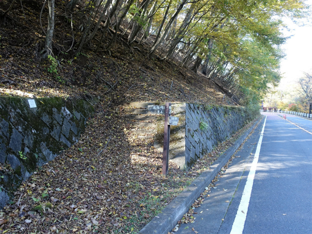 三頭山（風張尾根～鞘口峠）登山口コースガイド 奥多摩周遊道路【登山口ナビ】