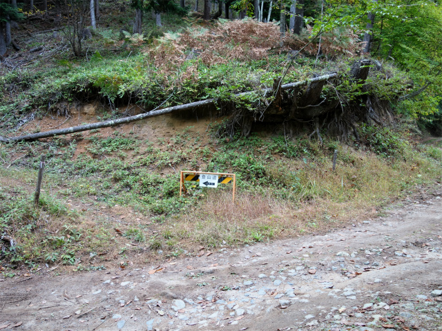 金峰山(御嶽古道/表参道)登山口コースガイド 作業道分岐【登山口ナビ】