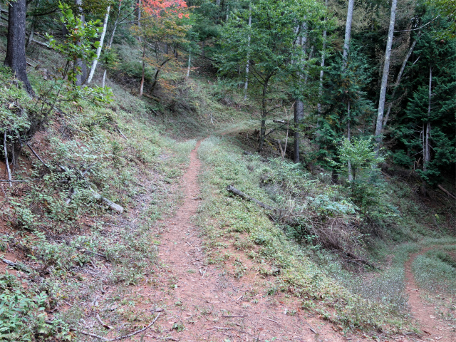 金峰山(御嶽古道/表参道)登山口コースガイド 作業道【登山口ナビ】
