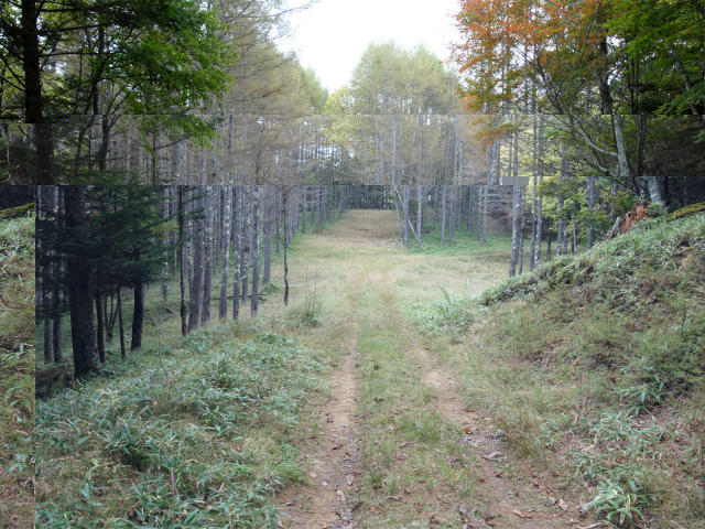 金峰山(御嶽古道/表参道)登山口コースガイド 作業道【登山口ナビ】