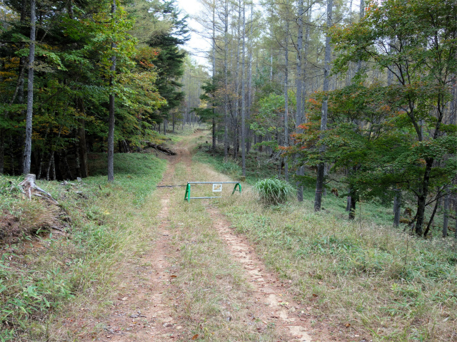 金峰山(御嶽古道/表参道)登山口コースガイド 登山道分岐【登山口ナビ】