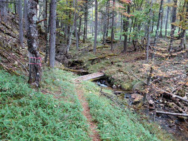 金峰山(御嶽古道/表参道)登山口コースガイド 木橋【登山口ナビ】
