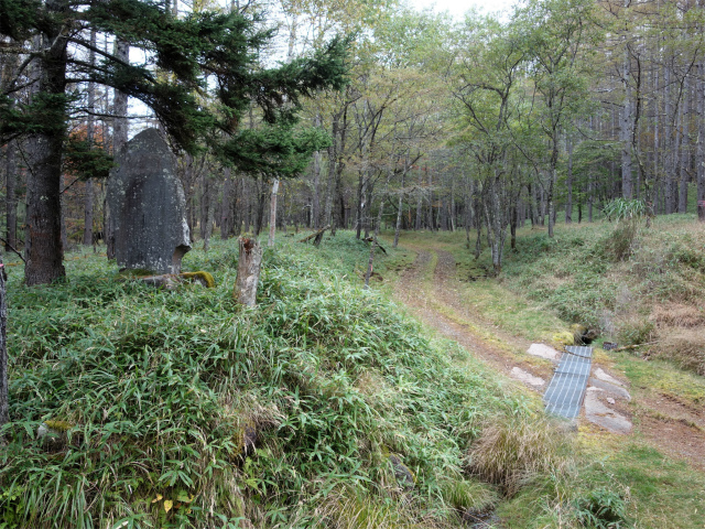 金峰山(御嶽古道/表参道)登山口コースガイド 造林記念碑のある林道横断【登山口ナビ】