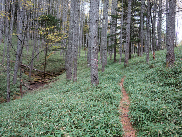 金峰山(御嶽古道/表参道)登山口コースガイド 源頭【登山口ナビ】