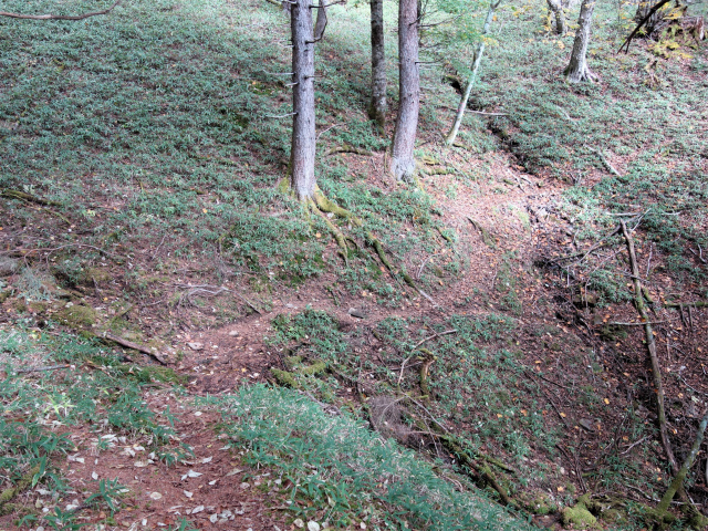 金峰山(御嶽古道/表参道)登山口コースガイド トラバース【登山口ナビ】