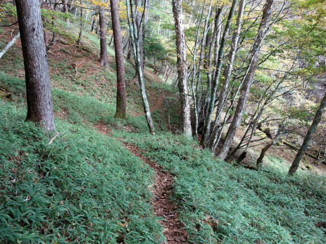 金峰山(御嶽古道/表参道)登山口コースガイド 神子ノ沢【登山口ナビ】