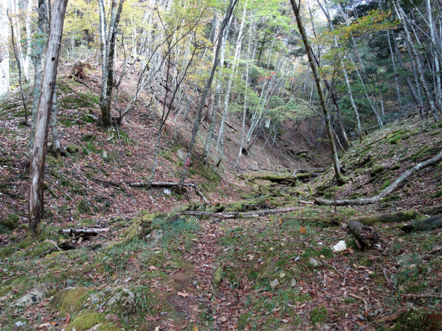 金峰山(御嶽古道/表参道)登山口コースガイド 沢の二俣【登山口ナビ】