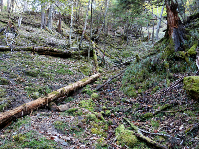 金峰山(御嶽古道/表参道)登山口コースガイド【登山口ナビ】