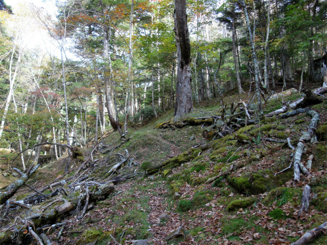 金峰山(御嶽古道/表参道)登山口コースガイド【登山口ナビ】