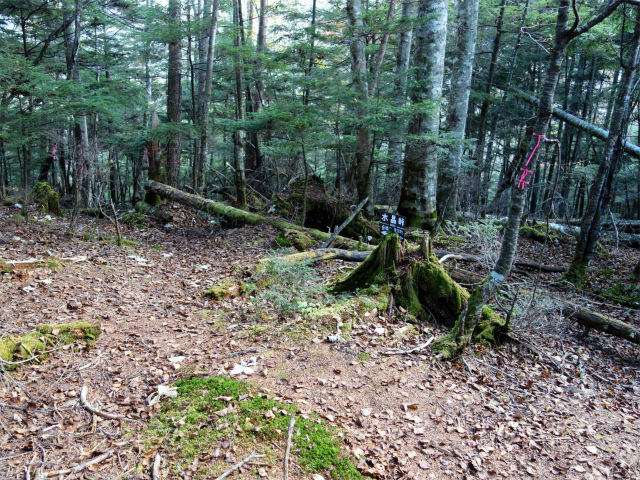 金峰山(御嶽古道/表参道)登山口コースガイド 水晶峠【登山口ナビ】